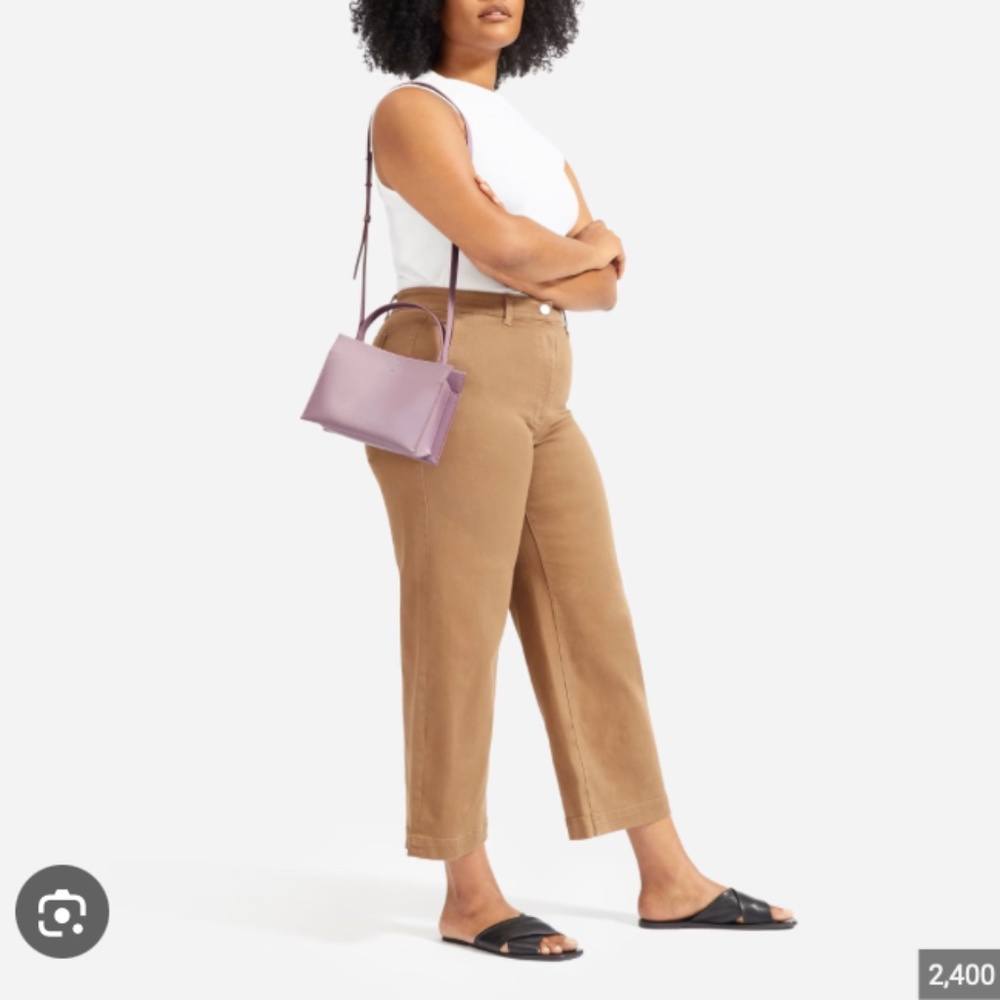 Everlane The Lunchbox Bag in lilac